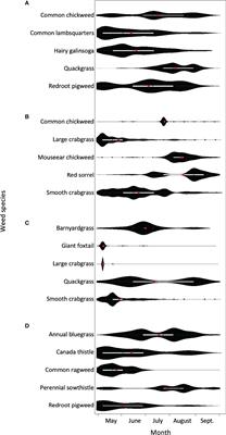 Improving Weed Management Based on the Timing of Emergence Peaks: A Case Study of Problematic Weeds in Northeast USA